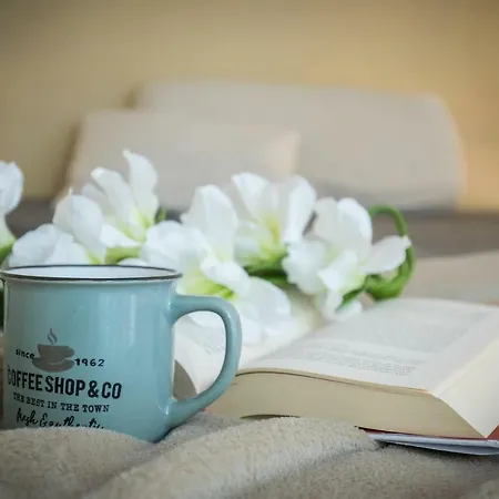 Guestfriendly Q06 - San Basilio Studio ונציה
